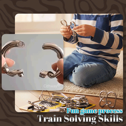 Playtrixlab® 3D Metal Challenge Puzzle Toy