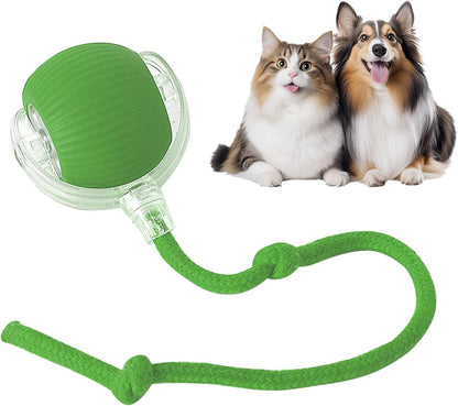 Playtrixlab® Interactive Pet Toy Ball 🐶🐱🐾