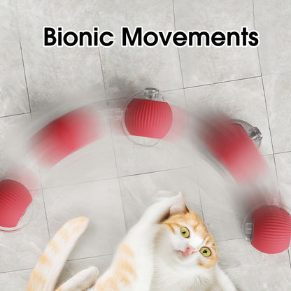 Playtrixlab® Interactive Pet Toy Ball 🐶🐱🐾