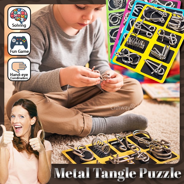 Playtrixlab® 3D Metal Challenge Puzzle Toy