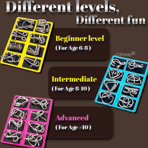 Playtrixlab® 3D Metal Challenge Puzzle Toy