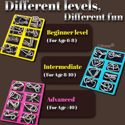 Playtrixlab® 3D Metal Challenge Puzzle Toy