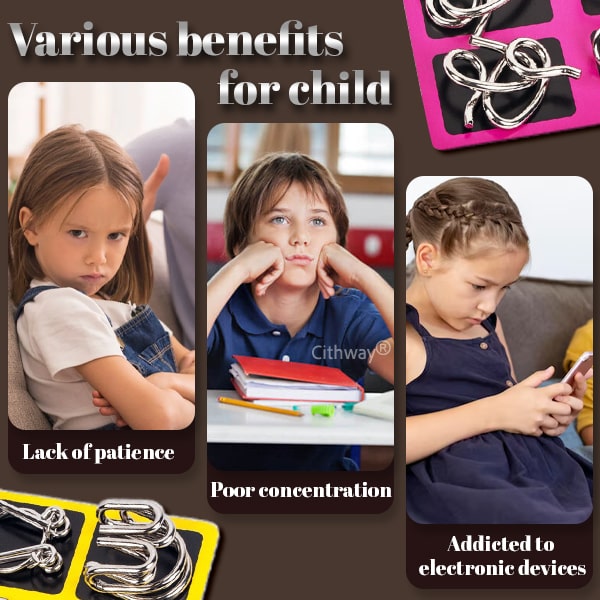 Playtrixlab® 3D Metal Challenge Puzzle Toy