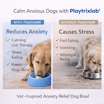 Playtrixlab® Anxiety Relief Dog Bowl