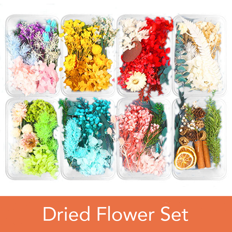 Dried Flowers Set